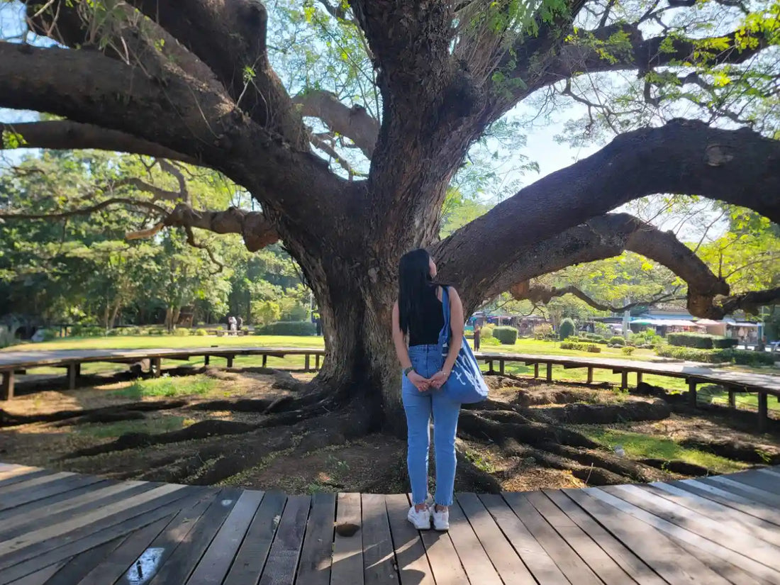 Places to Visit in Kanchanaburi, Thailand (My Favorite Spots + Easy Day Trip Route)