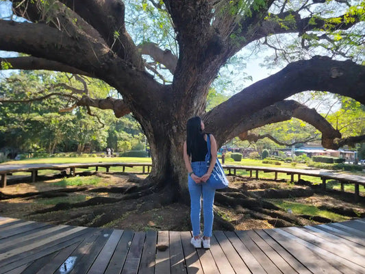 Places to Visit in Kanchanaburi, Thailand (My Favorite Spots + Easy Day Trip Route)