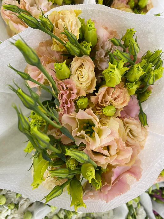 🌸 ดอกลิเซนทัส