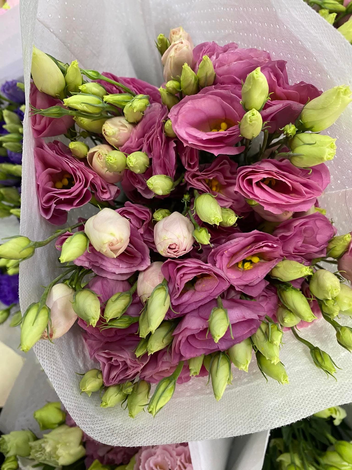 🌸 ดอกลิเซนทัส