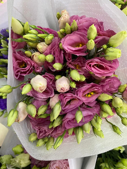 🌸 ดอกลิเซนทัส