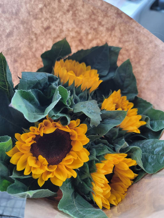 ช่อดอกทานตะวัน